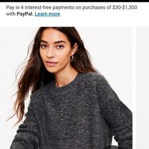 LOFT NWT Rainbow Sequin Sweater